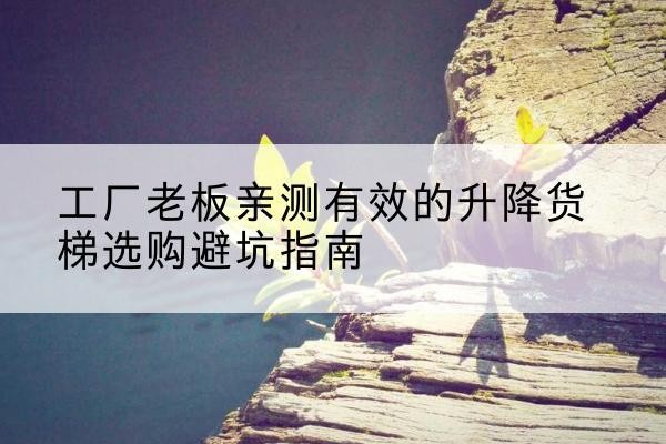 湖口升降货梯怎么选-工厂老板亲测有效的升降货梯选购避坑指南