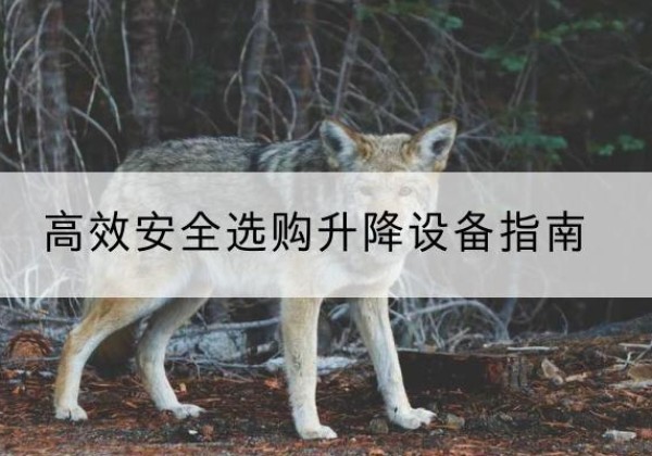 湖口升降货梯厂家推荐-*安全选购升降设备指南