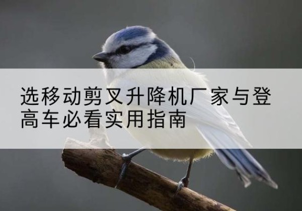 湖口电动升降机厂家-选移动剪叉升降机厂家与登高车必看实用指南