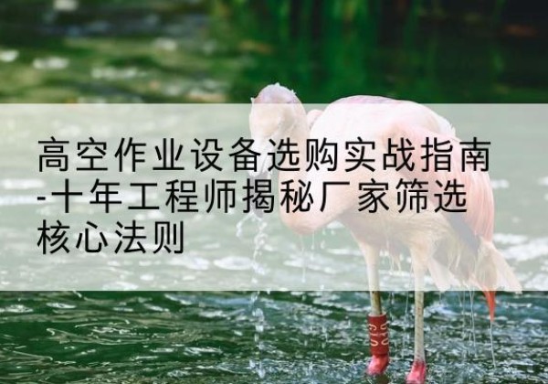 湖口剪叉式升降机厂家-高空作业设备选购实战指南-十年工程师揭秘厂家筛选核心法则