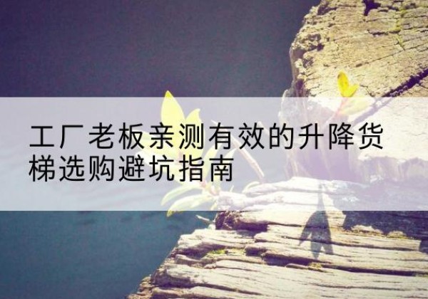 湖口升降货梯怎么选-工厂老板亲测有效的升降货梯选购避坑指南